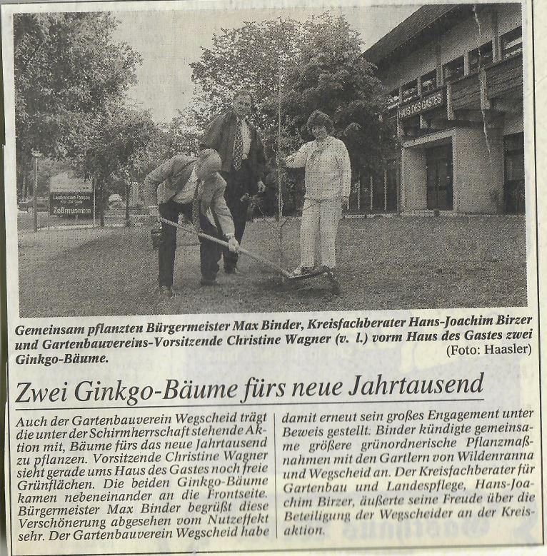 Zwei Ginkgo-Bäume fürs neue Jahrtausend, Passauer Neue Presse 2000?
