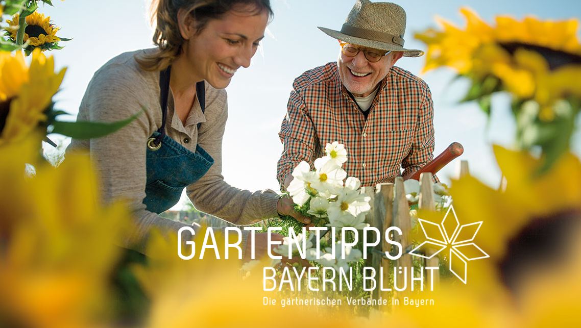 Gartentipps Bayern blüht