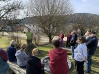 Kurs &uuml;ber das Schneiden von Bl&uuml;hstr&auml;uchern