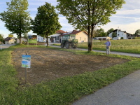 Blumenwiese angelegt 2026