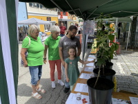 Fr&uuml;hlingsmarkt 2026 - Kinderquiz vom Gartenbauverein