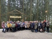 Waldweihnacht am Baumkronenweg 2025