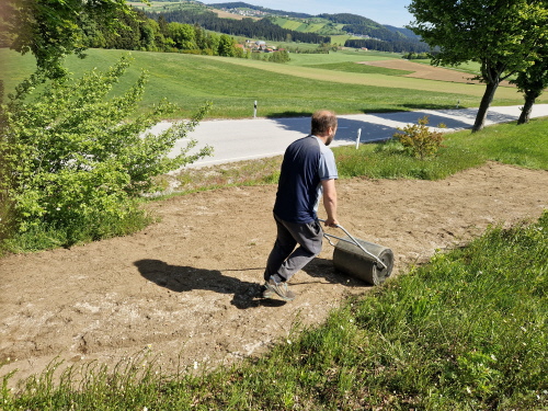 mit der Walze etwas andrücken