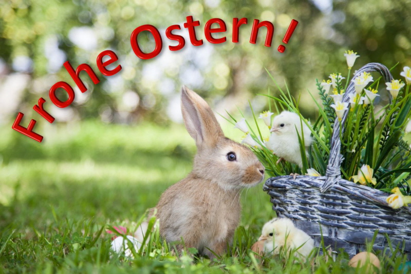 Der Gartenbauverein Wegscheid wünscht allen Gartlerinnen und Gartlern Frohe Ostern!
