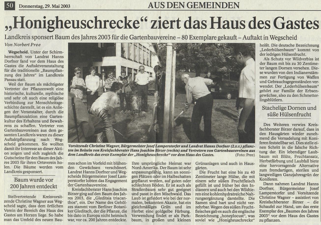 Honigheuschrecke ziert das Haus des Gastes, Baum des Jahres 2003, Passauer Neue Presse vom 29. Mai 2003