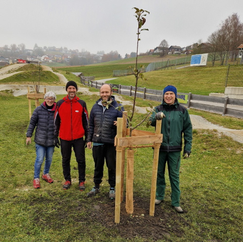 Bei der Pflanzung in der Bikearena. Von llinks: Bonalinde Schramm 1. Vorsitzende Gartenbauverein, Paul Erhard 1 Vorsitzender TSV Wegscheid, Florian Schramm Gartenbauverein, Markus Reischl Spartenleiter Ski&Bike TSV Bei der Pflanzung in der Bikearena. Von llinks: Bonalinde Schramm 1. Vorsitzende Gartenbauverein, Paul Erhard 1 Vorsitzender TSV Wegscheid, Florian Schramm Gartenbauverein, Markus Reischl Spartenleiter Ski&Bike TSV
