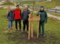 Baum des Jahres 2025