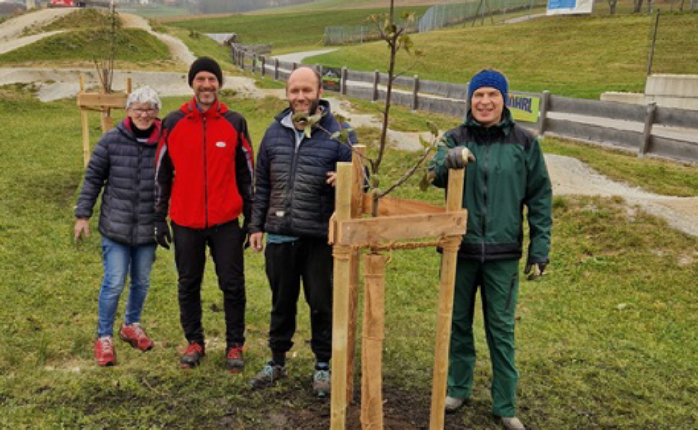 Bei der Pflanzung zum Baum des Jahres 2025