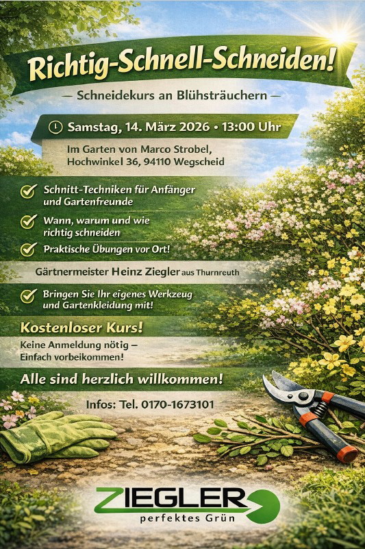 Flyer Bl&uuml;hstr&auml;ucher schneiden 2026