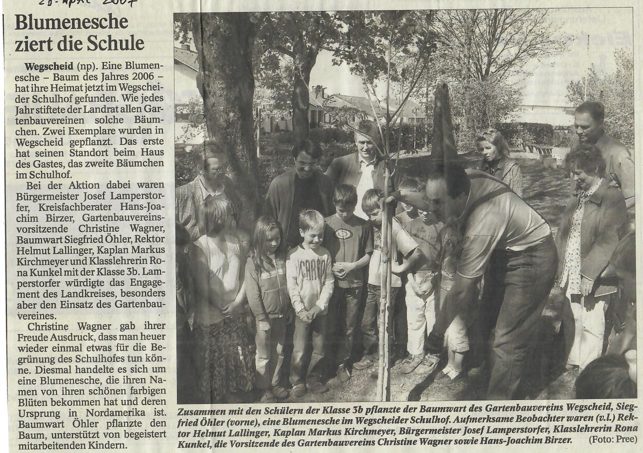 Blumenesche ziert die Schule, Baum des Jahres 2006, Passauer Neue Presse vom 18. April 2007