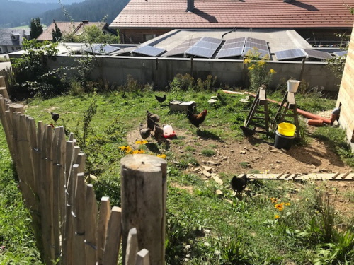 Foto: Kreisfachberatung am LRA Passau