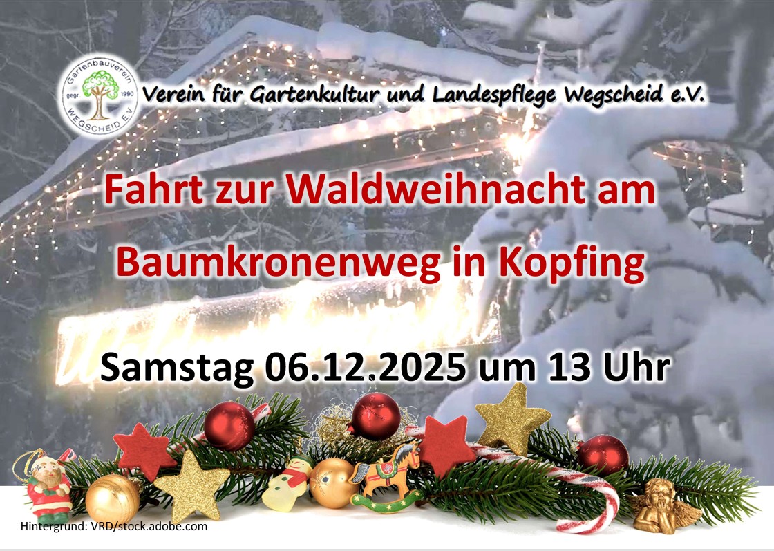 Flyer zur Fahrt zur Waldweihnacht am Baumkronenweg