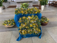 Kräuterbuschen am Altar zur Kräuterweihe