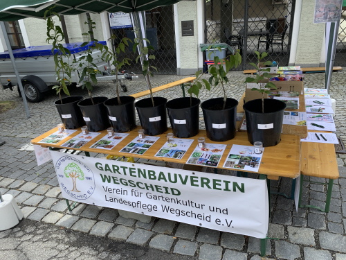 Die Aufl&ouml;sung ist hinten drauf