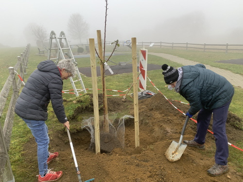 Unsere beiden Vorsitzenden beim Baumpflanzen