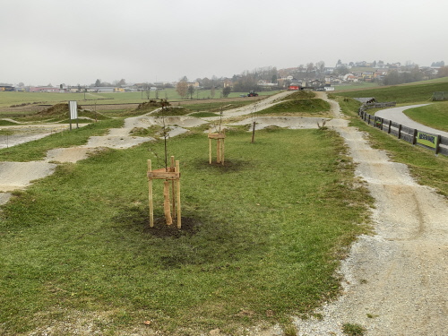 Die zwei Bäume in der Bikearena