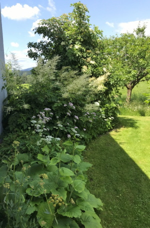 Foto: Kreisfachberatung am LRA Passau