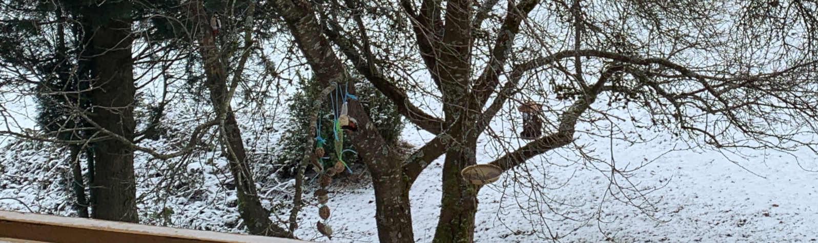 Vgel im Winter - Slide 2