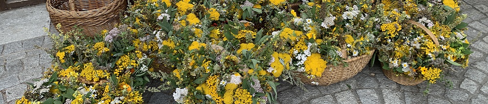 Thema 2025 - Slide 11