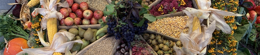 Thema 2025 - Slide 15